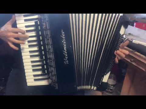 Accordion Weltmeister Serino 96
