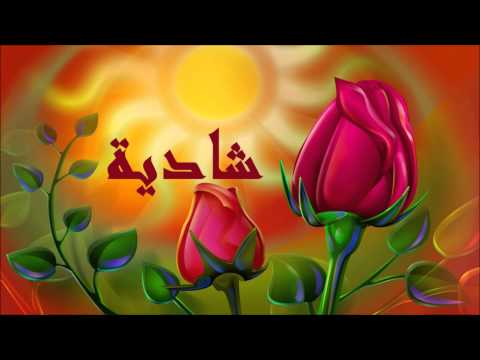 شادية خلاص مسافر حفلة جودة عالية hd