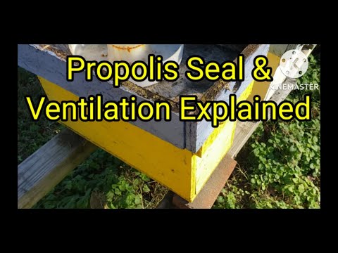 , title : 'Propolis Seal & Ventilation Explained'