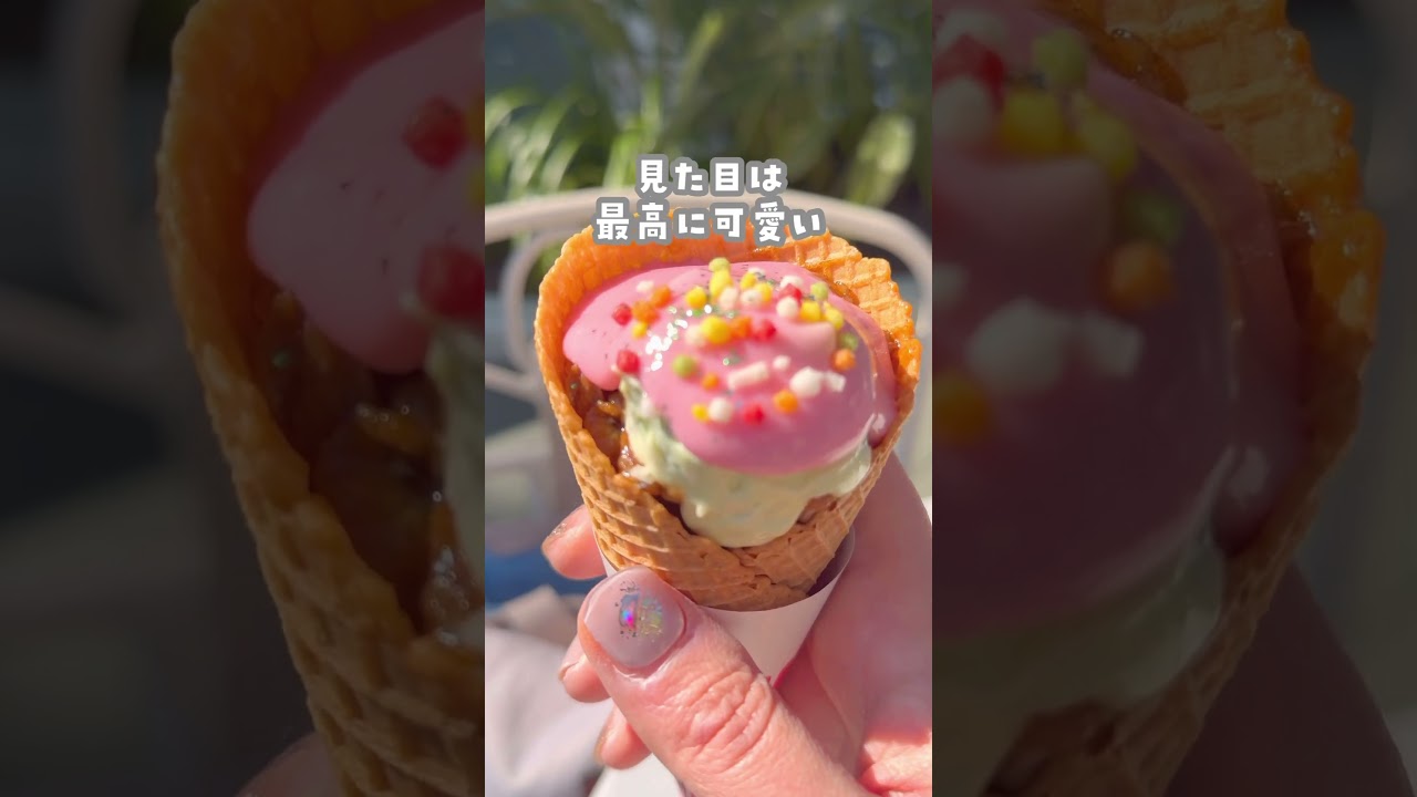 【思ってたのとちょっと違った？ランドのあれこれ】