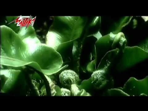 سبحان الله مصطفى قمر