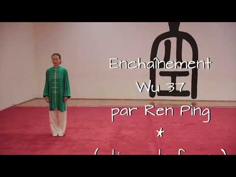 Maître Renping Goarzin - Taijiquan Wu 37 (face)
