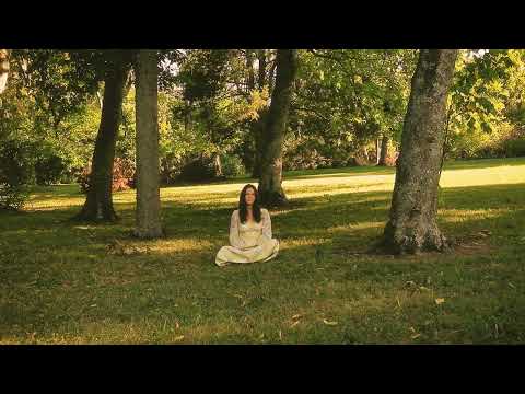 Cherry Blossom - Jillian Jacqueline