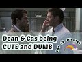 Dean And Cas Being Cute Dumbasses For 12 Minutes Not Straight