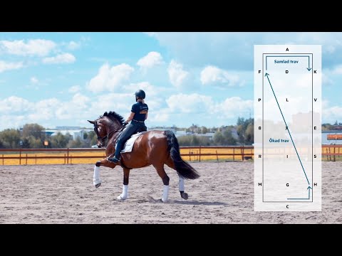 Lyssna på Gunilla Byström när hon rider FEI Grand Prix