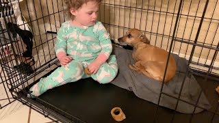 Baby Ayla thinks she's a dog! Day Thirteen! Advent Calendar Christmas 2018! (yellies)
