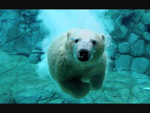 Rainer Weichhold Vs. Dandi & Ugo - Infinite Template (original mix)