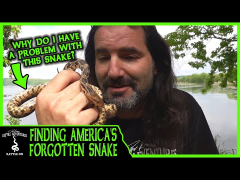 FINDING AMERICA'S FORGOTTEN SNAKE! (and why I have a problem with it)