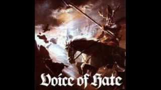 Voice of hate- Berlin Oi! 1995 -PIRATEN-