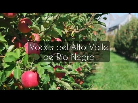 Podcast: “Voces del Alto Valle de Río Negro” Capítulo 1: Roxana Aldriguetti 🍎🌿