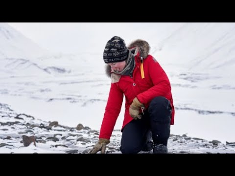 Studying Glaciers Around the World with Heïdi Sevestre