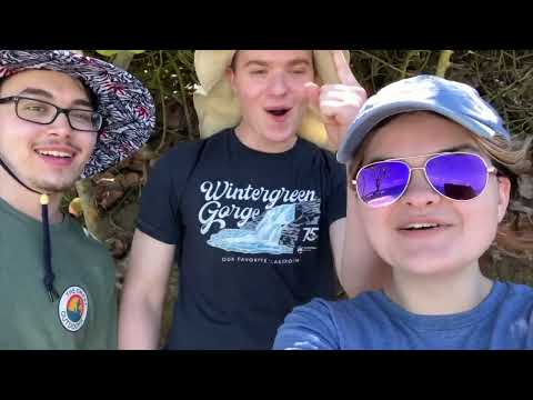 Penn State Behrend Asb 2024