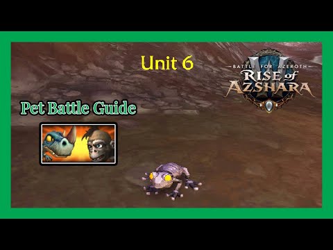 Unit 6 WoW Pet Battle Guide
