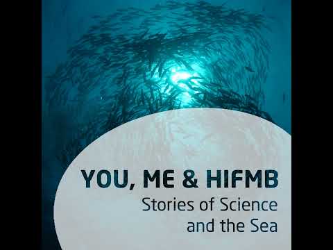 Merdeka Agus Saputra - Tinny Perspective Switcher