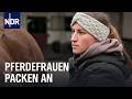 Die Pferdeversteherinnen Vom Großensee Die Nordreportage NDR Doku