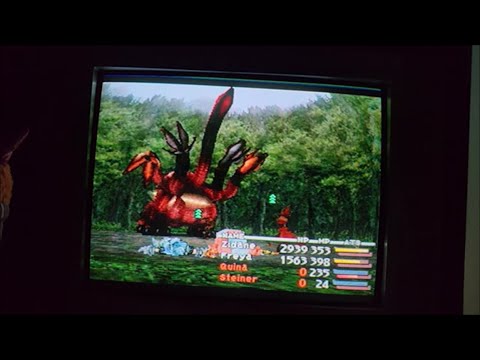 FF9 Perfect Game with Offensive Training B - 88 (8300 dragons killed)