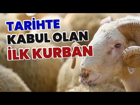 Cudi Dağına İnen Gemi - Türklerin Atası Kim?