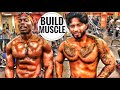 15 Min Full Body Workout at Home | @Stylez | Full Body Bodyweight Workout to Build Muscle