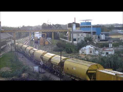 Comboio de Cereais n.º 51631 - Ramalhal