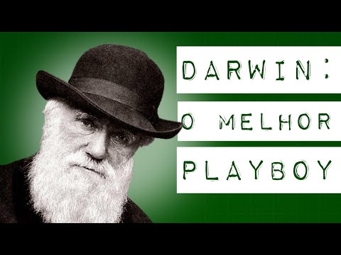 DARWIN O MELHOR PLAYBOY