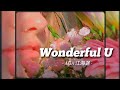 [ Vietsub • Lyrics ] Wonderful U - AGA 江海迦