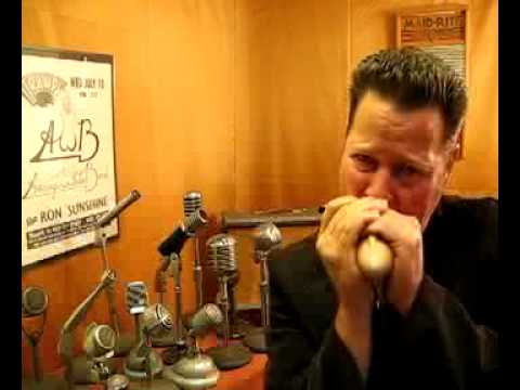 Lafayette PA-42 / SHURE R7 CRYSTAL HOT Vintage Bullet Harp Mic