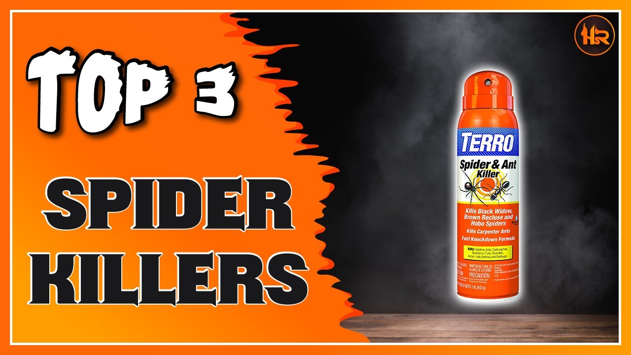 Best Spider Killer for Indoors