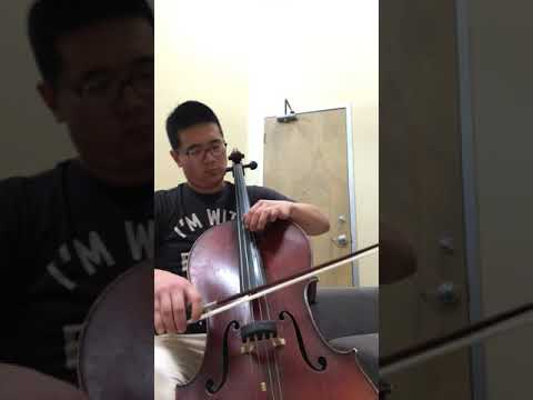 Haydn C Major Concerto Mvt 1 - Cadenza