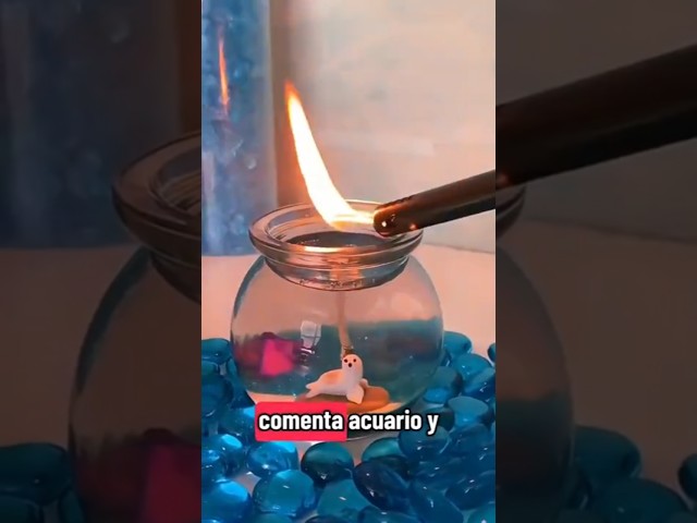 Vídeo relacionado con Velas para acuario, mini vela de burbujas para acuario, juego de velas de baño de gelatina con temática de la-mar, mini vela para acuarios de larga duración, decoración (1)