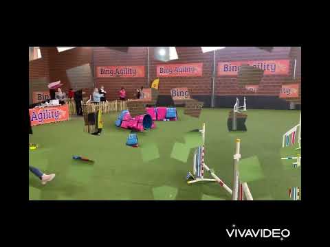 Zeke 🐇 Bing Agility Kupa 🐇 2022.04.16.