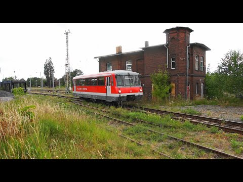 Der kleine Ferkeltaxen Sonderzug Finsterwalde↔Schacksdorf! Sommerfest auf Alwines Hof am 09.07.2022.