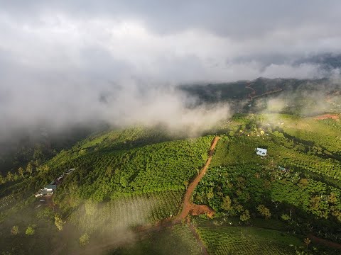 Gia đình cần bán đất mặt tiền Âu Cơ, 100tc, sổ riêng, bán gấp
