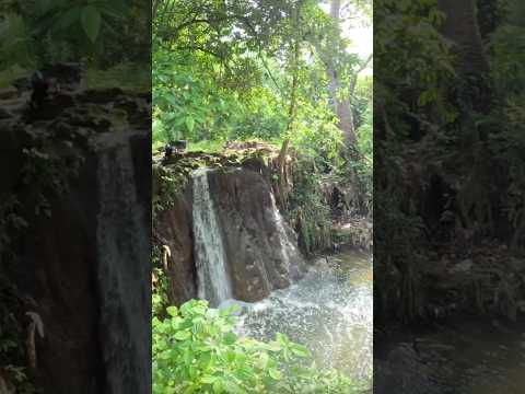 📍Mameyal, Turbaco, Bolivar 🇨🇴🇱🇹🌿
