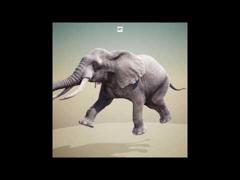 NYKOLUKE - ELEPHANT (Original Mix)