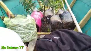 Download lagu Perjalanan Menuju Desa Kepala Telake Jalur Air Desa Pedalaman Kalimantan timur mp3