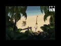 Galo Translated Funny Video