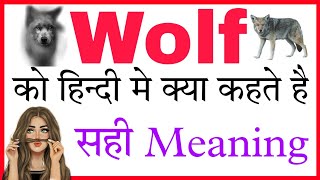 Wolf ka hindi meaning  Wolf ka matlab  Wolf ka hin