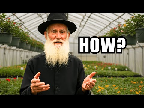 How the Amish HEAT a Winter Greenhouse WITHOUT GAS or ELECTRICITY
