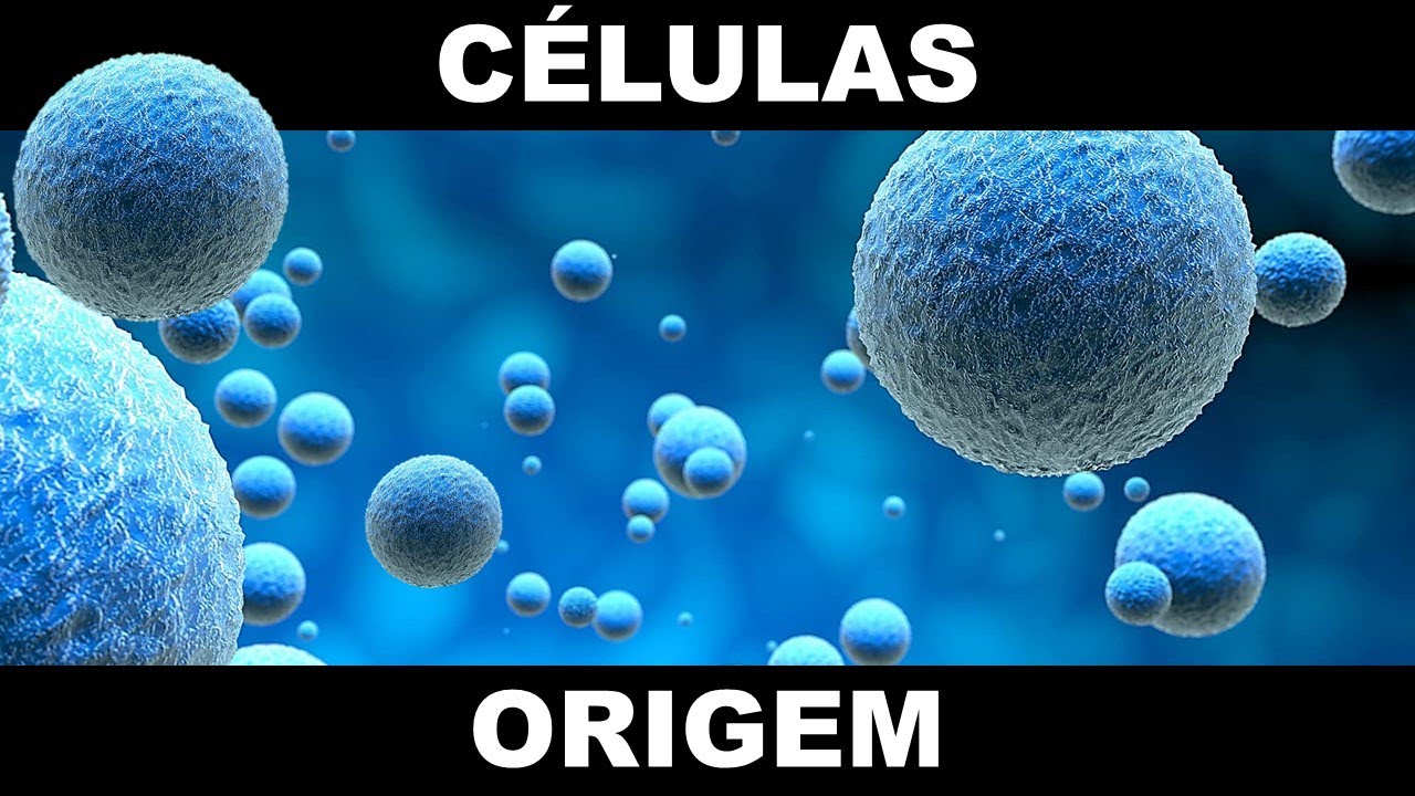 CÉLULAS ORIGEM