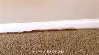 Selling your home with new carpet and old baseboards bad idea
