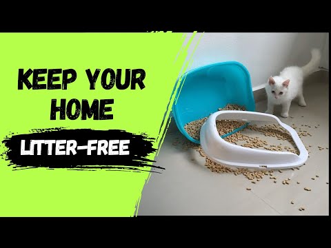 How to Prevent Litter Tracking Around the House?