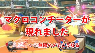 【スマブラSP】とんでもないバンカズが現れました ※通報&ブロック推奨です