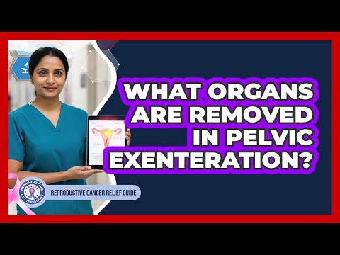 What Organs Are Removed In Pelvic Exenteration?