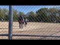 Jaleah Homerun (Iowa Blitz 12uA) RHP 2026