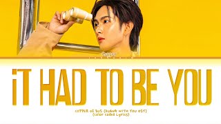 Download lagu BUS Copper 'It Had To Be You' (Duang With You TS Soundtrack) Lyrics (Color Coded Lyrics) mp3