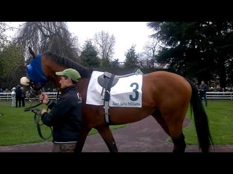 about 10 seconds at Ippodromo San Siro 2