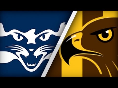 AFL - Geelong v Hawthorn Preview Round 1 2016