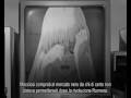 Black Lagoon - The world of midnight (Gretel ...