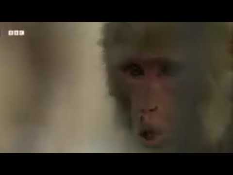 Clean water flowing from Gujarati loss Urs This high tall you __@muhammadhafeez9313 