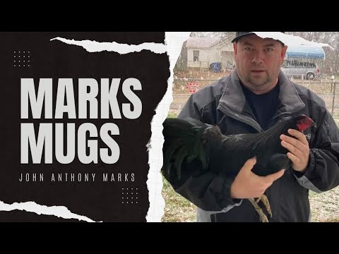 Black Mug Splash Asil Kelso - John Anthony Marks Farm | Beautiful Birds